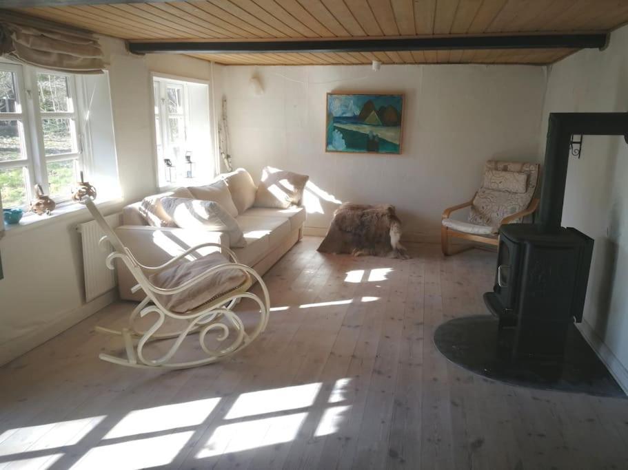 A Pousada Gemuetliches Reetdachhaus Mit Kaminofen Ribe Exterior foto