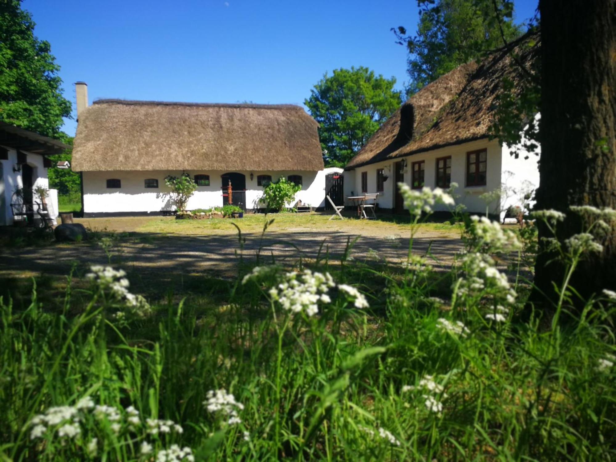 A Pousada Gemuetliches Reetdachhaus Mit Kaminofen Ribe Exterior foto